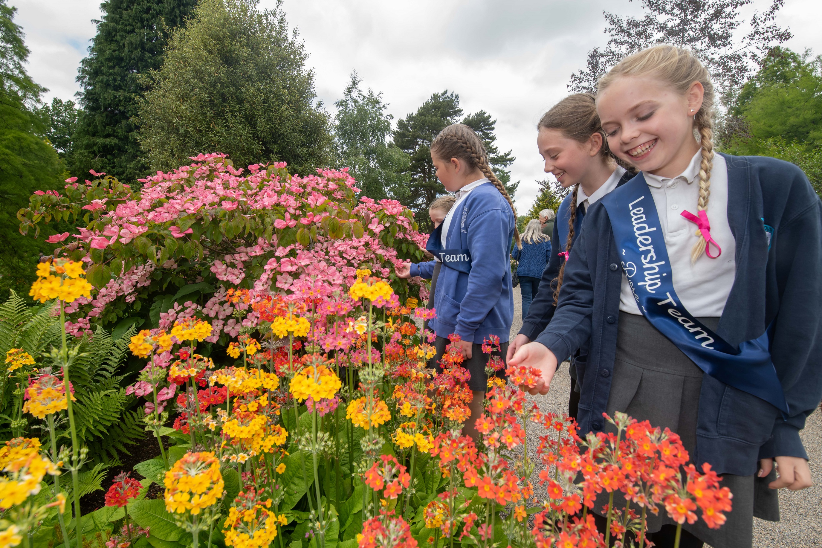 Pupils from schools in Bedale, Colburn, Northallerton, York and Harrogate took part in the Healthy Schools Summer event at RHS Garden Harlow Carr.