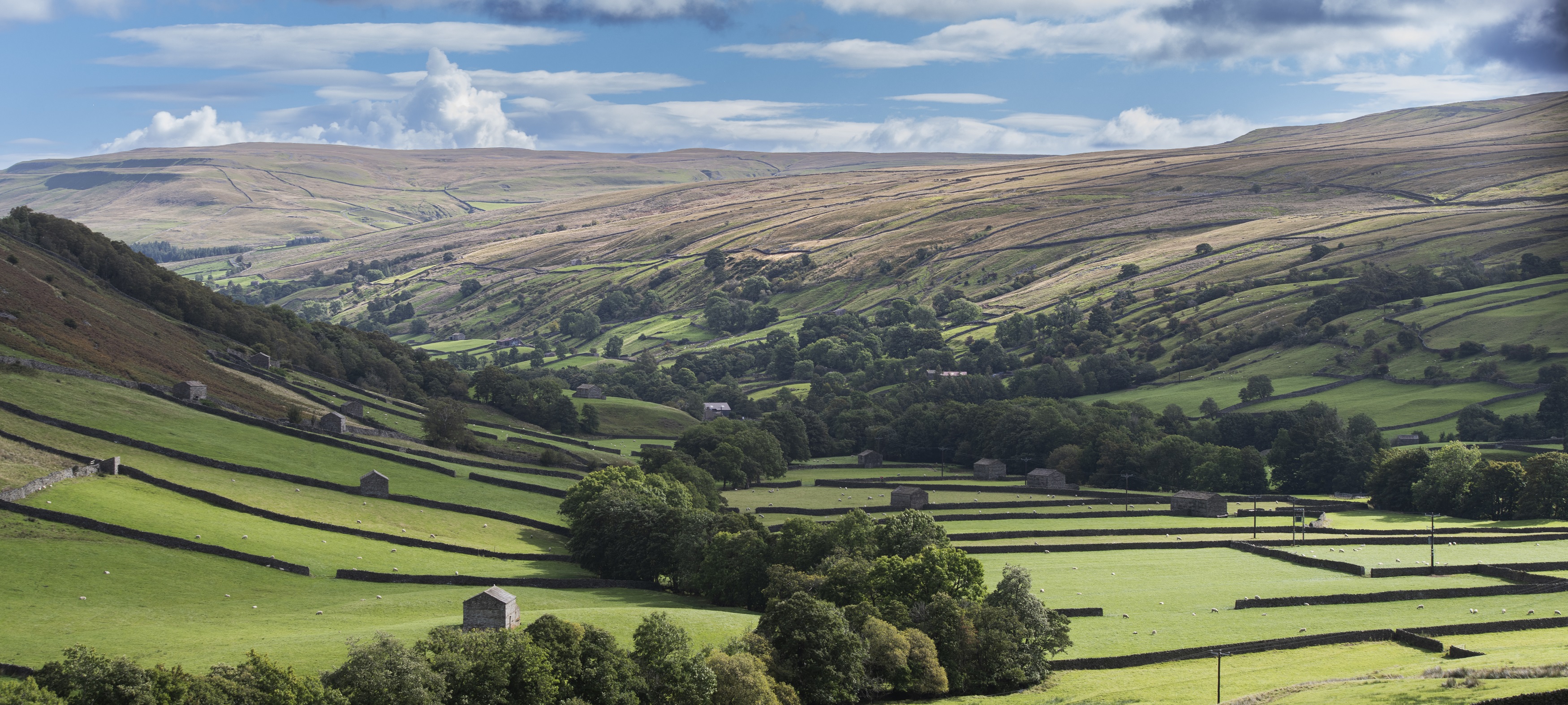  A scenic view of Swaledale in North Yorkshire