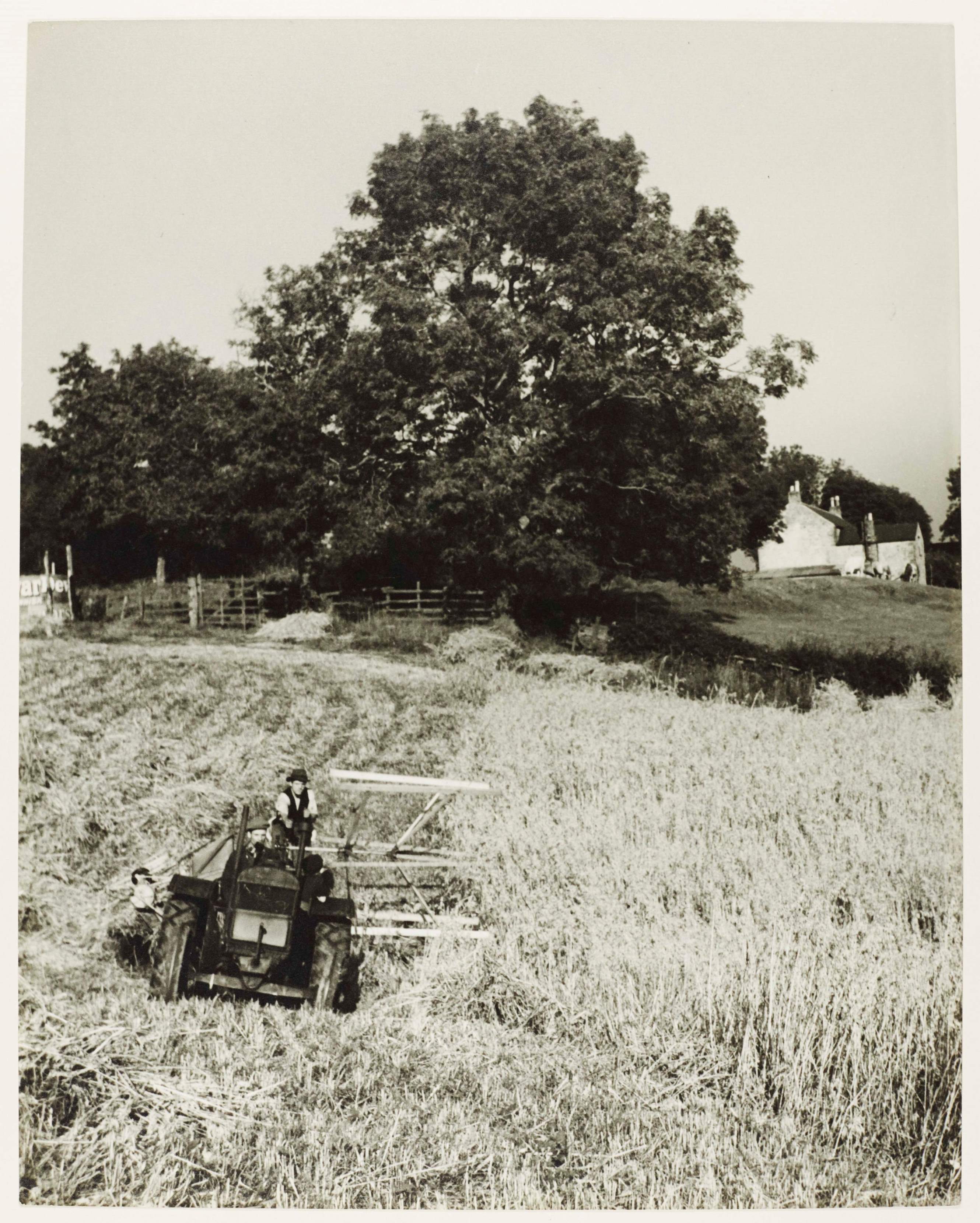 Harvesting at Lownethwaite Farm, Richmondshire, 1940s. From a collection of British Council photographs within Richmond District Council records.