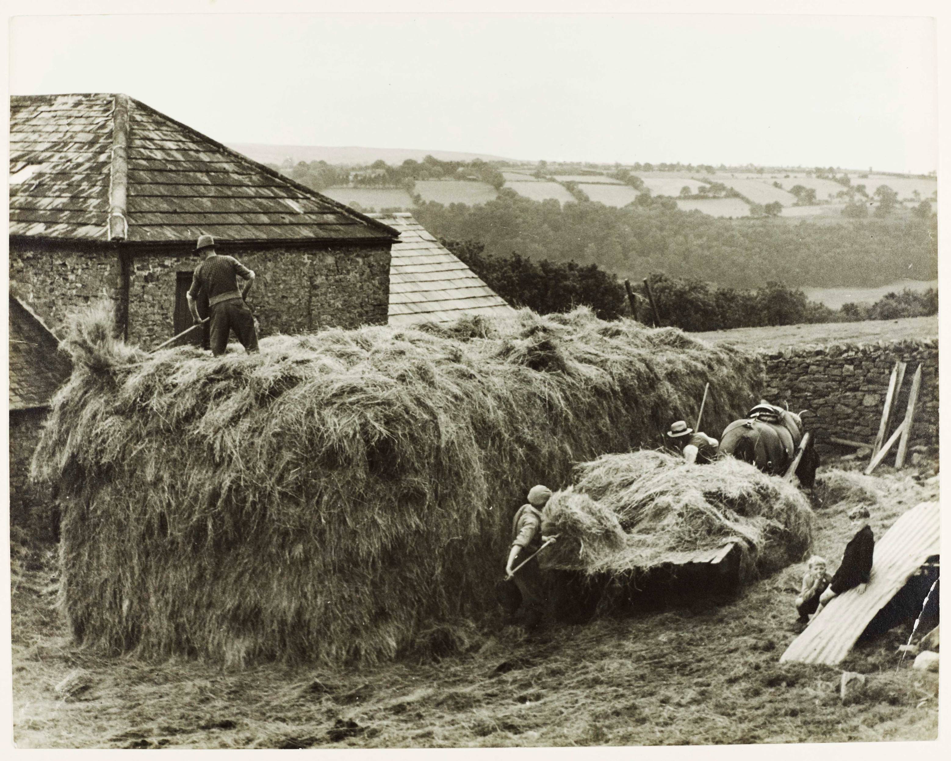 Farming at Lownethwaite Farm, Richmondshire, 1940s. From a collection of British Council photographs within Richmond District Council records.