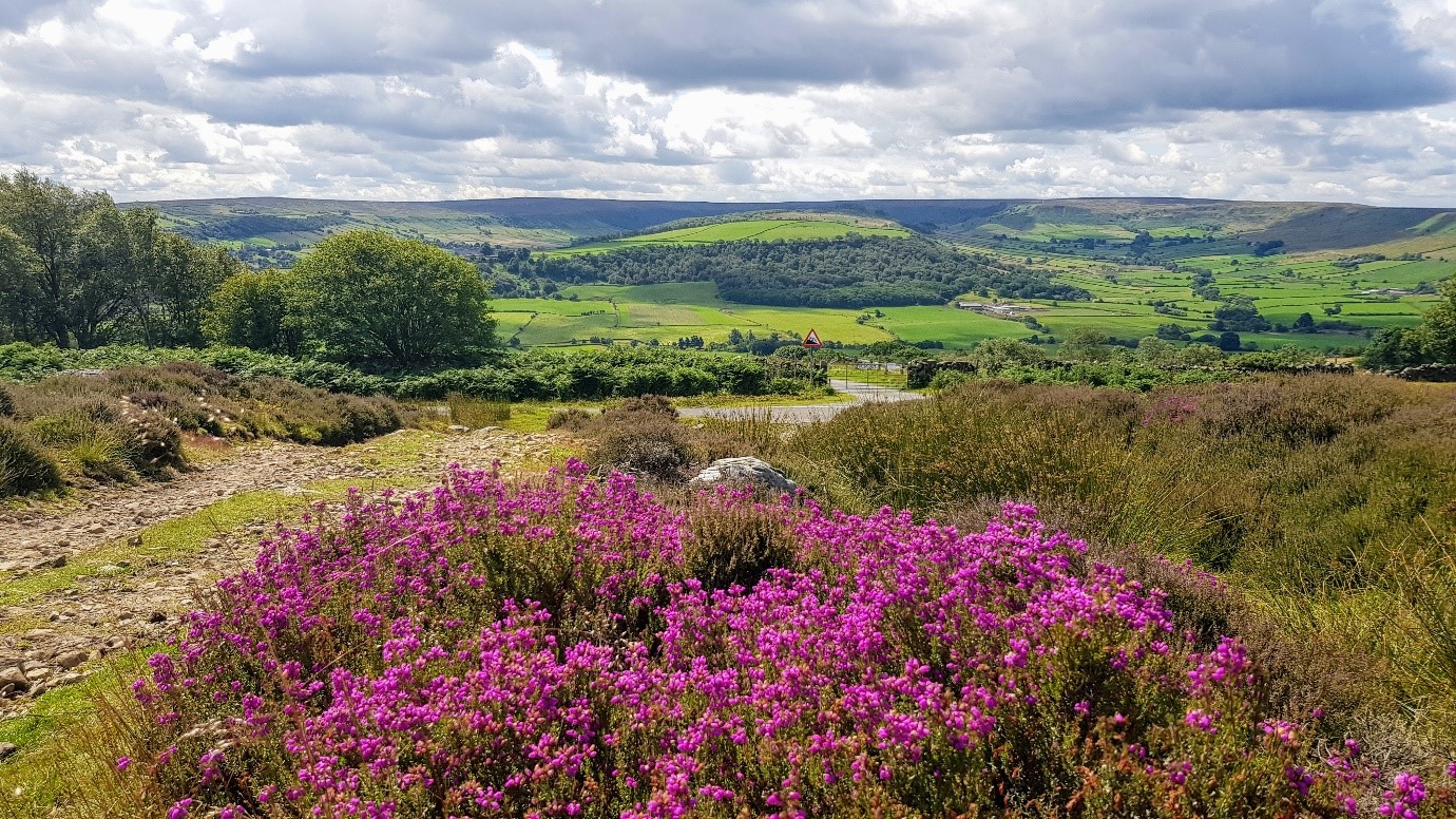 View from Danby