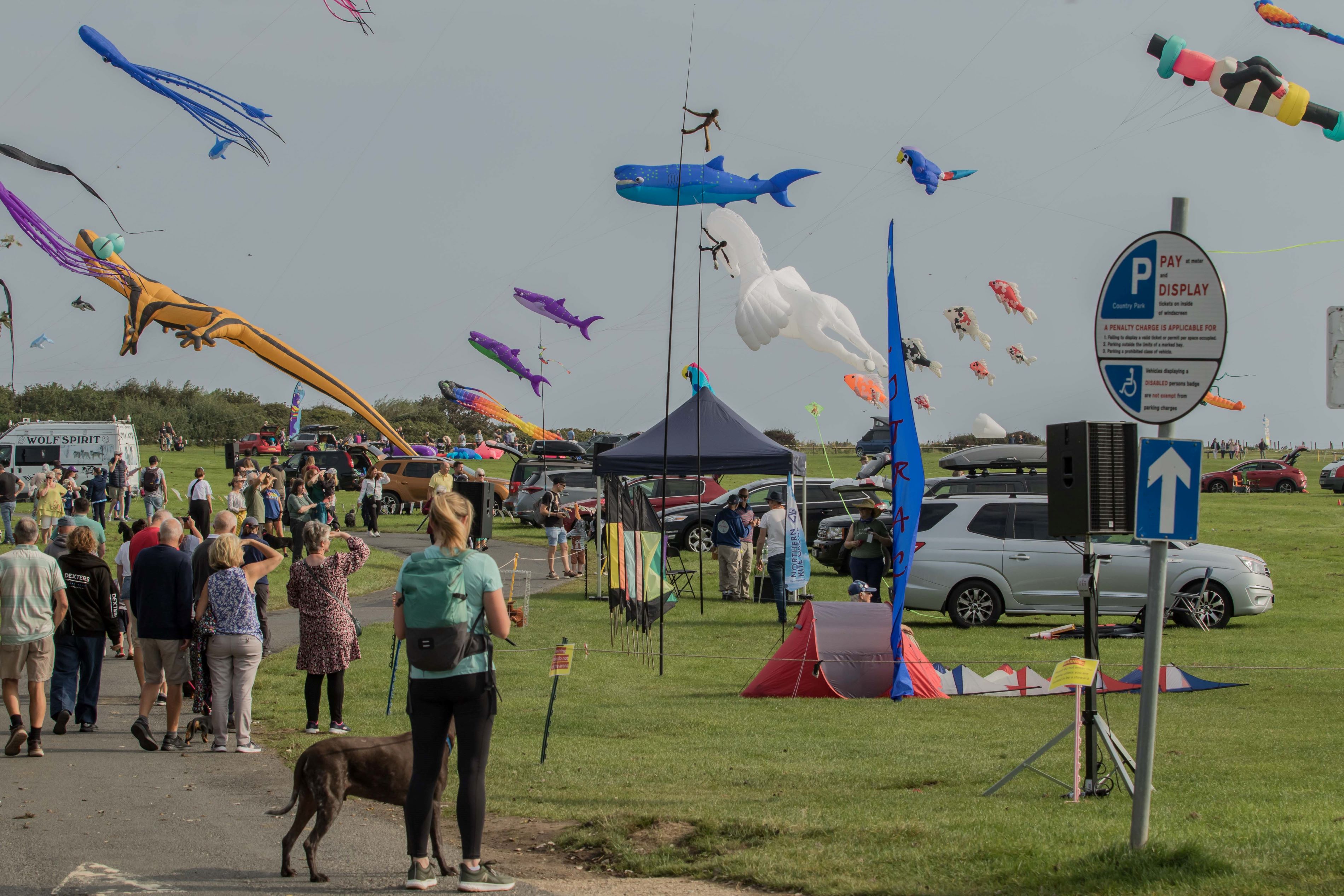 Filey Kite Festival