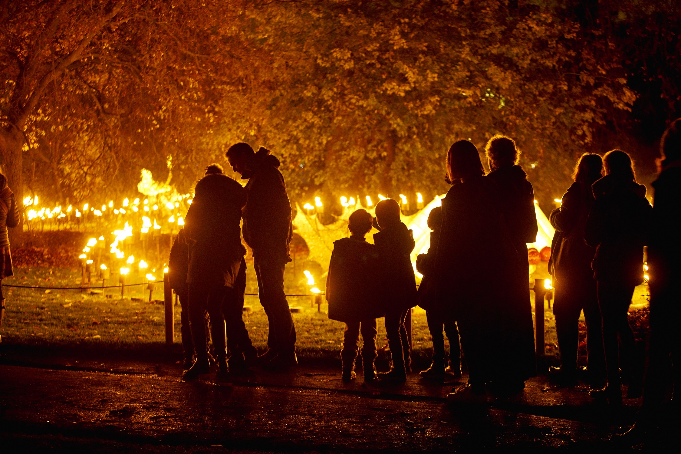 Scarborough Lights Fire Garden. Pic credit Sony Music.