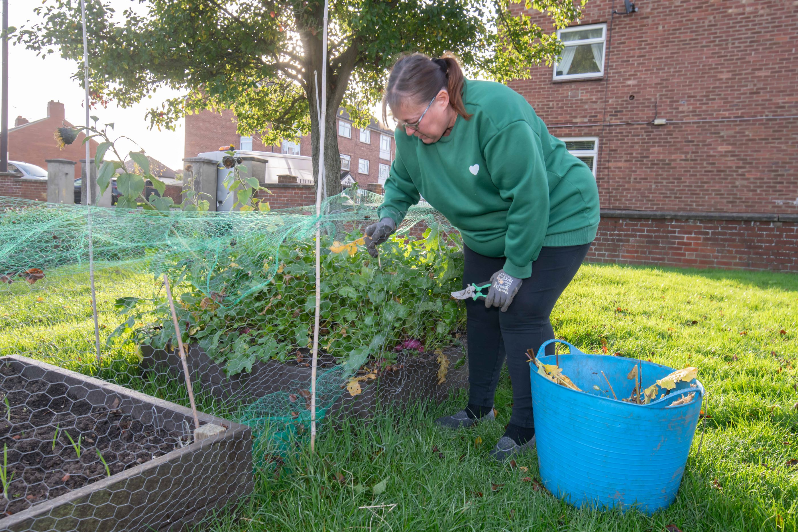 A lady working on a garden