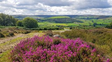 View from Danby