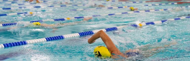 A group swimming in lanes